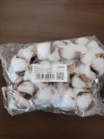 Szárított gyapot termés fejek dróttal - Image 3