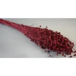 Szárított Len festett, piros - Image 2